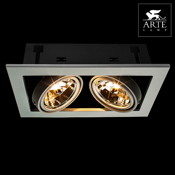 Встраиваемый светильник Arte Lamp Technika A5930PL-2WH