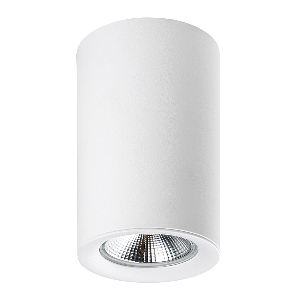 Насадка торцевая на светильник RULLO dia 60 mm Rullo Lightstar 204436