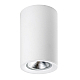 Насадка торцевая на светильник RULLO dia 60 mm Rullo Lightstar 204436
