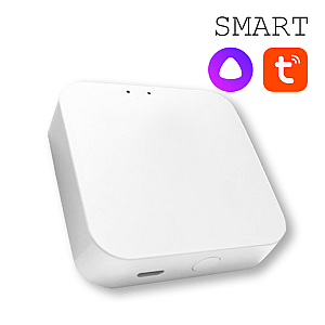 Конвертер WI-FI для трековой системы EKS Colibri Smart 0У-00002005