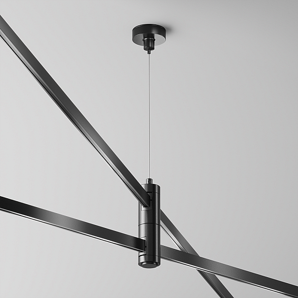 Подвес Maytoni Flarity TRA157SW-D1-B