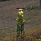Уличный встраиваемый в грунт светильник Odeon Light Nature 7108/15GLA
