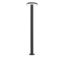 Уличный светильник Maytoni Wald O420FL-L12GF1
