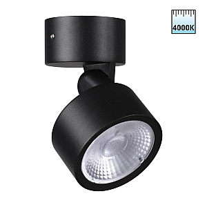 Уличный потолочный светильник Novotech Street Focus 359589