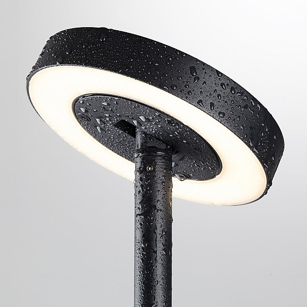 Ландшафтный светильник Odeon Light Disc Nature 7189/6GL