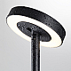Ландшафтный светильник Odeon Light Disc Nature 7189/6GL