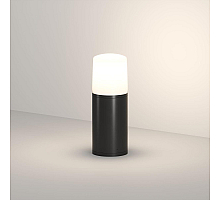 Ландшафтный светильник Denkirs Nord DK9743-BK