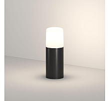 Ландшафтный светильник Denkirs Nord DK9743-BK