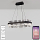 Подвесная люстра Natali Kovaltseva Royalton LED LAMPS 81276