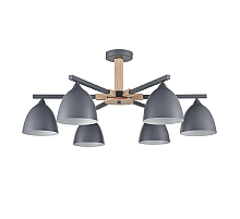 Люстра на штанге Lumion Colange 8096/6C