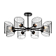 Потолочная люстра Lumion County Tidina 8238/8C