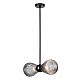 Подвесная люстра Odeon Light Exclusive Elica 5417/2