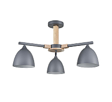 Люстра на штанге Lumion Colange 8096/3C