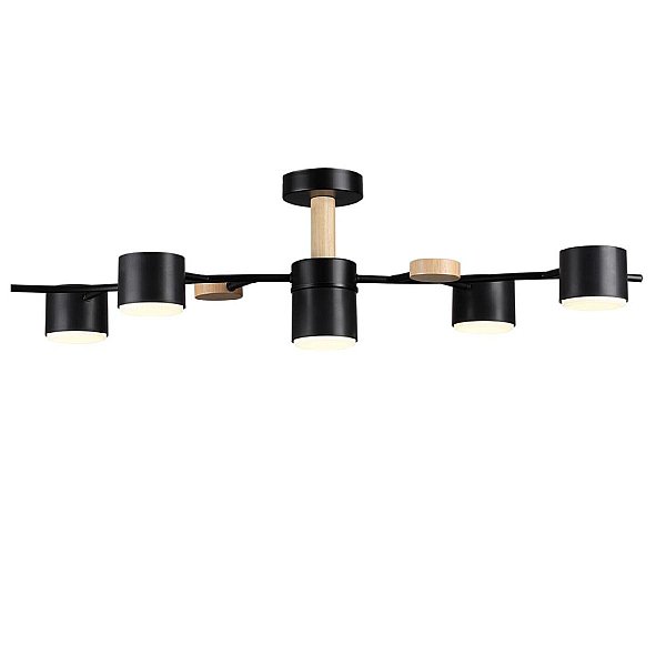 Потолочная люстра Lumion Comfi Crypto 8194/5C