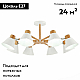 Потолочная люстра Evoluce Buve SLE103702-08
