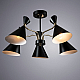 Люстра на штанге ARTE Lamp A2711PL-5BK