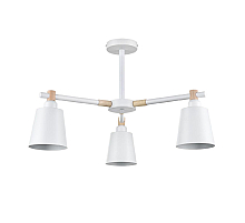 Люстра на штанге Lumion Rosalina 8097/3C