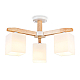 Потолочная люстра Ambrella light Traditional Loft TR83115