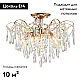 Потолочная люстра Escada Aurea 1124/5PL