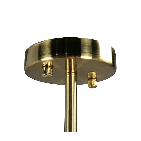 Подвесная люстра Zortes Floret ZRS.01201.10