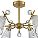 Потолочная люстра Lumion Classi Aurica 8046/6C