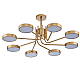 Потолочная светодиодная люстра Escada Skylar 10258/8LED