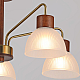 Потолочный светильник ILLUMICO IL0286-5C-79 BR