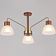 Потолочный светильник ILLUMICO IL0286-3C-79 BR