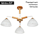 Потолочная люстра Arte Lamp Matthew A5032PL-3BR