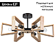 Потолочная люстра Arte Lamp Brussels A8030PL-6BK