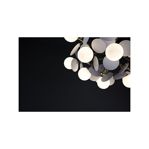 Подвесная люстра Zortes Floret ZRS.01201.12