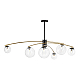 Потолочная люстра Citilux Fisher CL218163