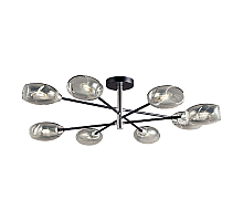 Люстра на штанге Lussole Brantley LSP-8931