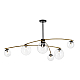 Потолочная люстра Citilux Fisher CL218163