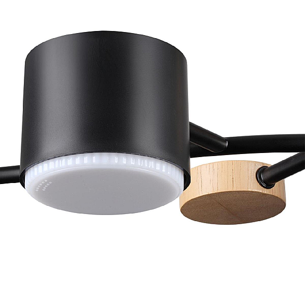 Потолочная люстра Lumion Comfi Crypto 8194/5C