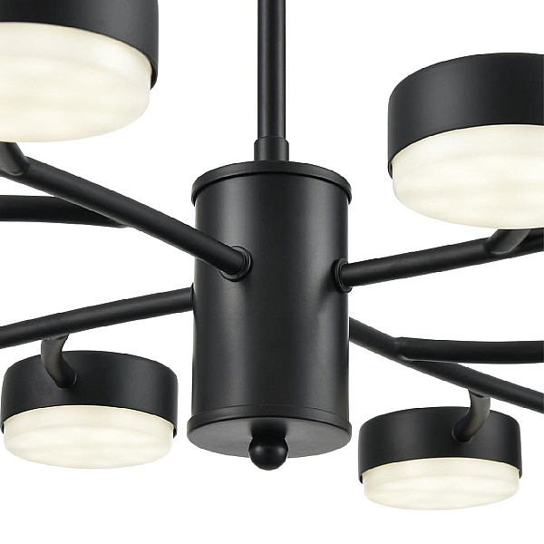 Потолочная люстра Lumion Comfi Torina 8117/12