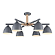 Потолочная люстра Lumion Moderni Colange 8096/6C