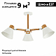 Потолочная люстра Evoluce Buve SLE103702-03