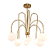 Люстра на штанге Delight Collection KG1213P-8 brass