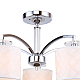 Потолочная люстра F-Promo Modum 2199-5U