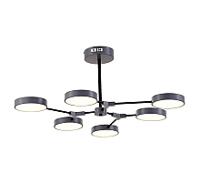 Потолочный светильник Evoluce Monta SLE6003-702-06