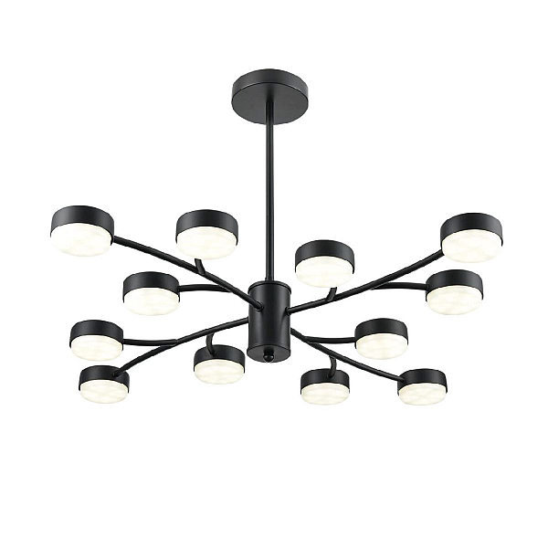 Потолочная люстра Lumion Comfi Torina 8117/12