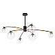 Потолочная люстра Citilux Fisher CL218163