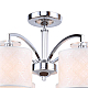 Потолочная люстра F-Promo Modum 2199-8U