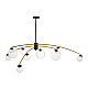Потолочная люстра Citilux Fisher CL218193