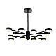 Потолочная люстра Lumion Comfi Torina 8117/12