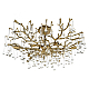 Подвесная люстра Loft IT Coral 10351/800C AB