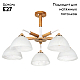 Потолочная люстра Arte Lamp Matthew A5032PL-5BR