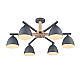 Потолочная люстра Lumion Moderni Colange 8096/6C