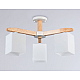 Потолочная люстра Ambrella light Traditional Loft TR83115